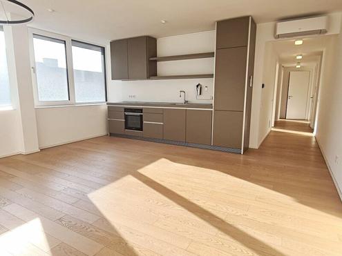 DACHGESCHOSS, klimatisierte 82 m2 Neubau, 2 Zimmer, Wohnk�che, Wannenbad, Parketten, Hauptbahnhof-N�he, Argentinierstra�e