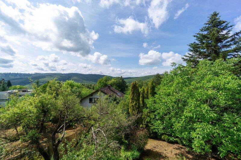 Ausblick vom Obergescho�