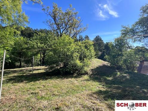 2.061 m� am Waldrand - Grundst�ck mit vielseitigen M�glichkeiten in Enzesfeld