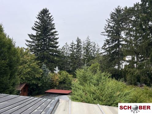 Seltene Gelegenheit am Wolfersberg - 1054 m2 Grund mit Abbruchobjekt
