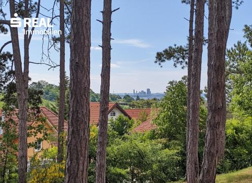 Baugrundst�ck gegen�ber von Weing�rten und Weitblick nach Wien