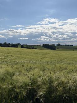 7,2 ha Ackerfl�che - beste Bodenklimazahl