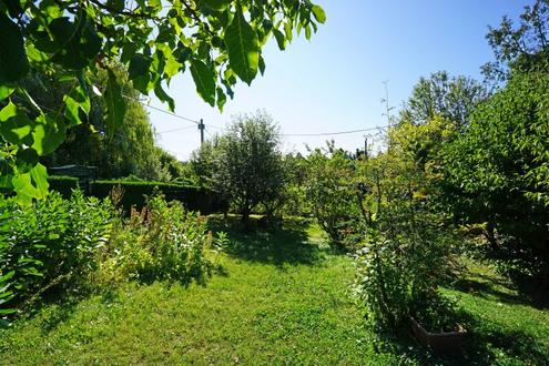 Kleingarten-Parzelle in Hietzing - Ober St. Veit beim Lainzer Tiergarten