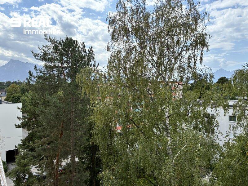 Ausblick von der Loggia Richtung Westen