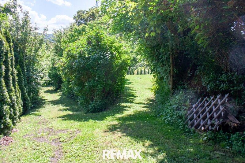 Gartenimpressionen 4