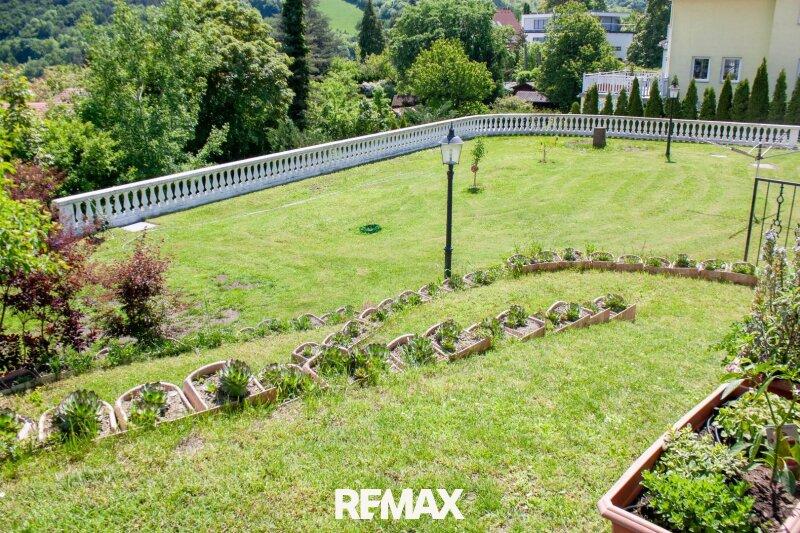 Gartenimpressionen 3