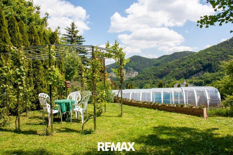Gartenimpressionen 1