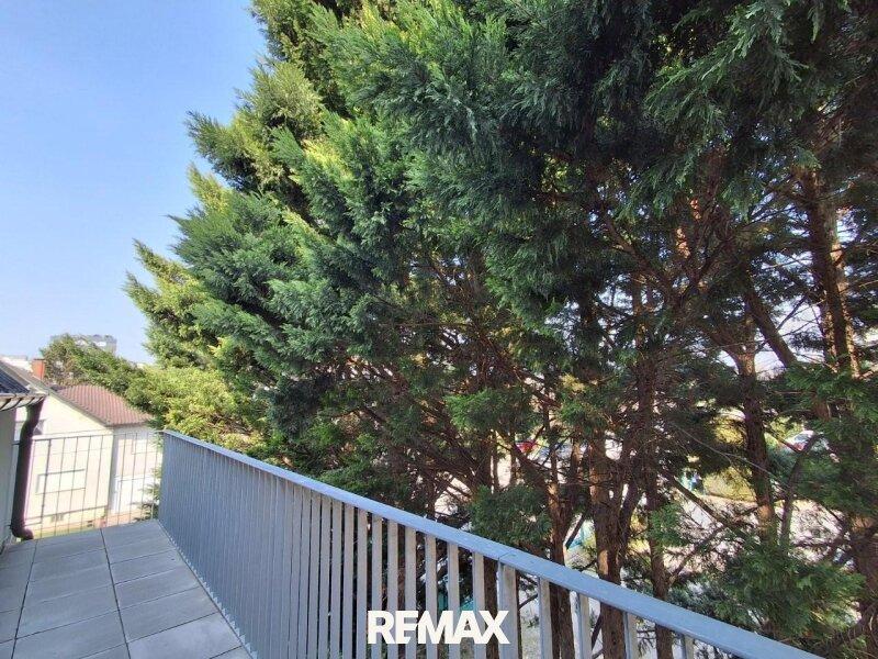 12 Balkon Gr�nblick 1220