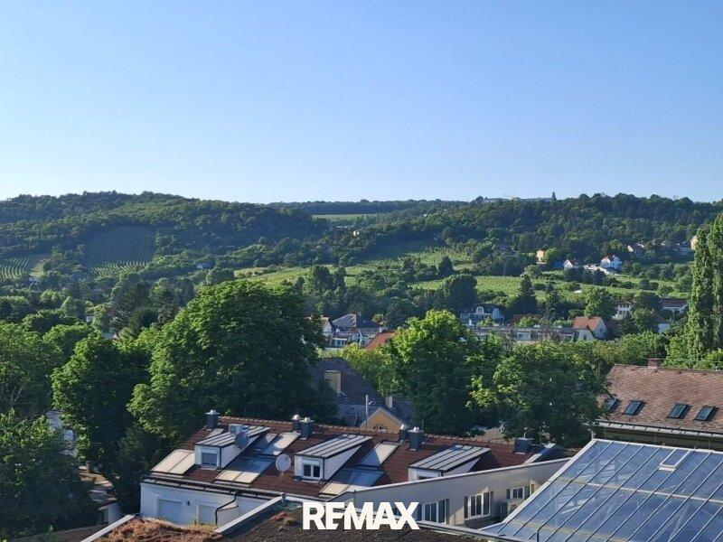 1 Traumausblick zum Bisamberg TerrassenPenthouse 1