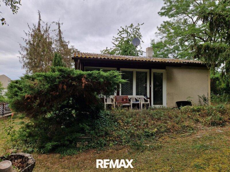 19  EFH 2020 Hollabrunn