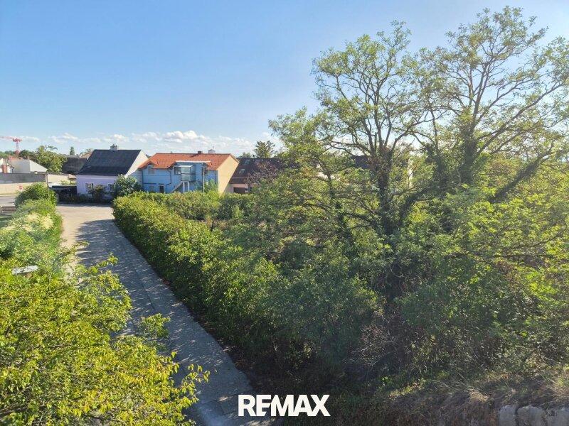 04.Blick aufs Grundst�ck