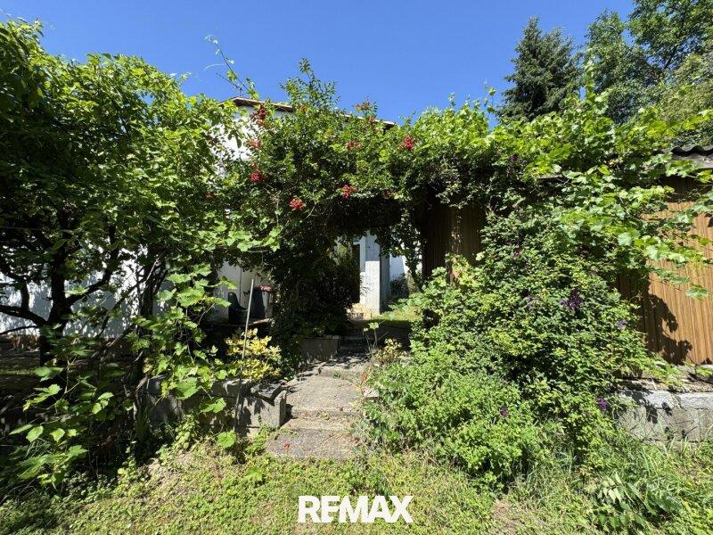 EFH 3481 Fels - Garten