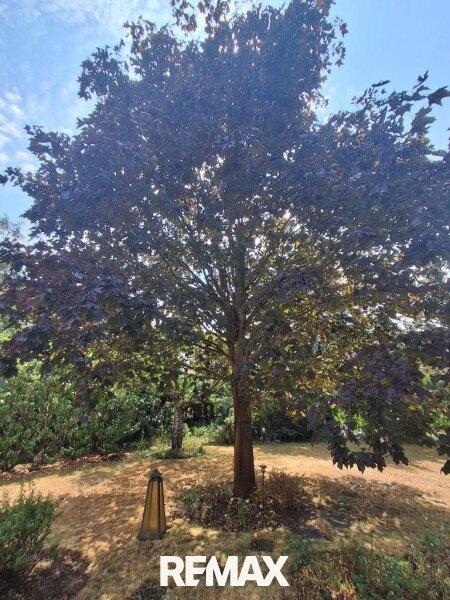 35 Garten mit schattigen B�umen Strasshof