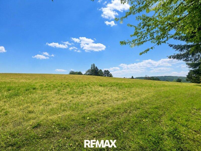 03 Aussicht - Felder hinter dem Grundst�ck