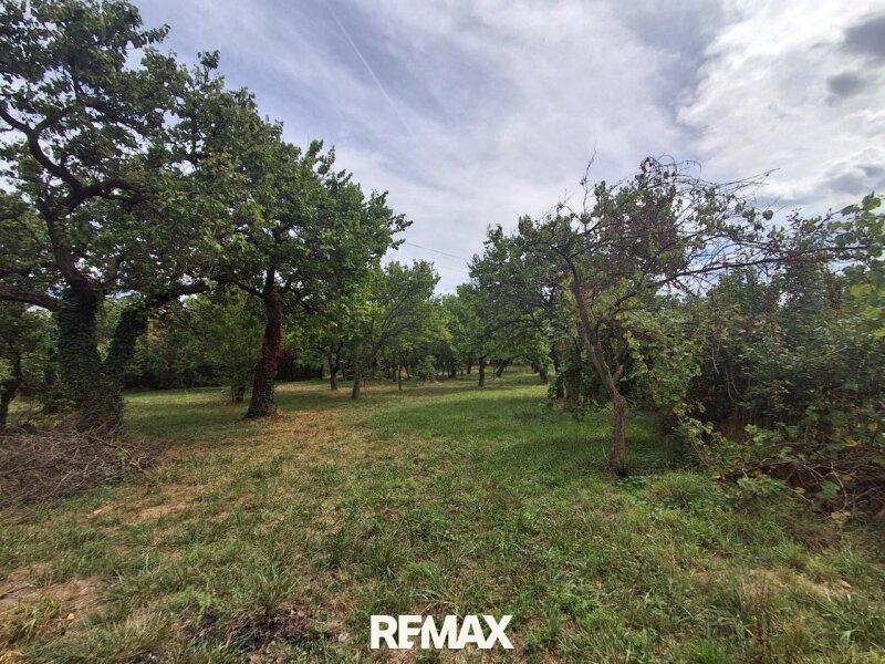 6 Obstgarten Gr�nland 7053 Hornstein