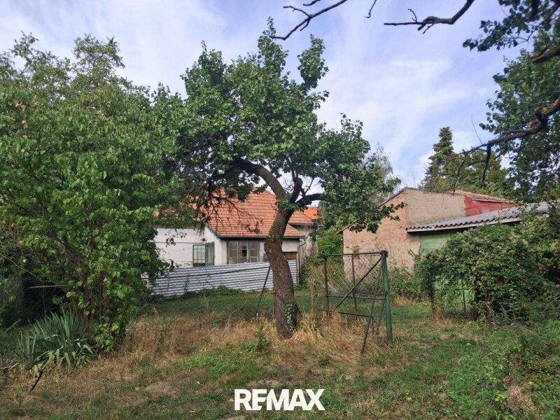 13 Grundst�ck mit Altbestand 7053 Hornstein