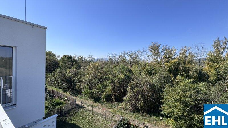 Ausblick