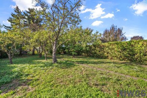 Wohnen wie Haydn - charmantes Wohnhaus mit rund 600m2 Au�enfl�che in Rohrau - beim Joseph Haydn Platz - N�he Bruck an der Leitha