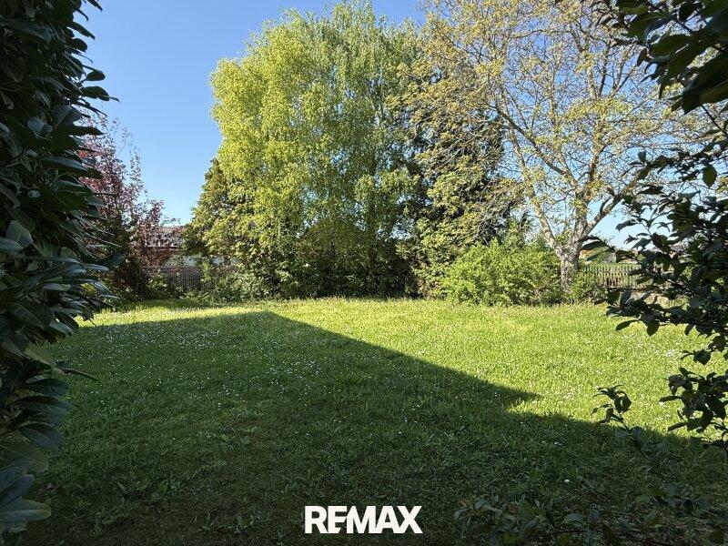 Gro�er Garten