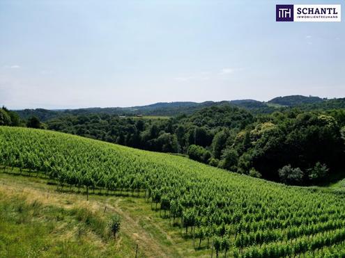 Ein Logenplatz an der S�dsteirischen Weinstra�e: Exklusives Chalet-Grundst�ck mit spektakul�rem Panoramablick