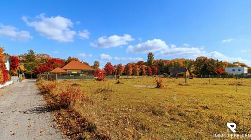 Ruhig, sonnig, familienfreundlich: Baugrundst�ck f�r Ihr Traumhaus in Lichtenw�rth