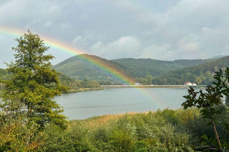 Blick auf den Wienerwaldsee