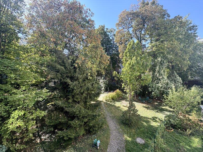 Ausblick ins Gr�ne