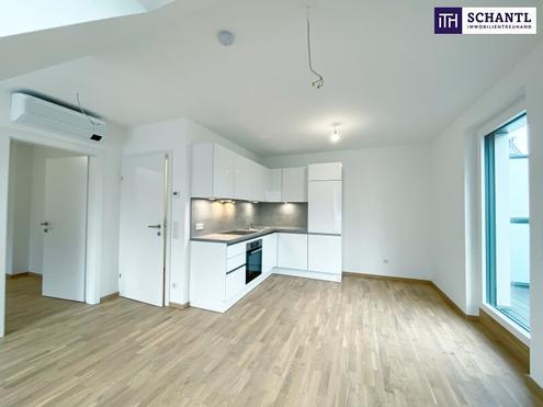 2 Zimmer mit Klimaanlage und Terrasse | Ruhelage | Badeteich Hirschstetten in Fu�n�he