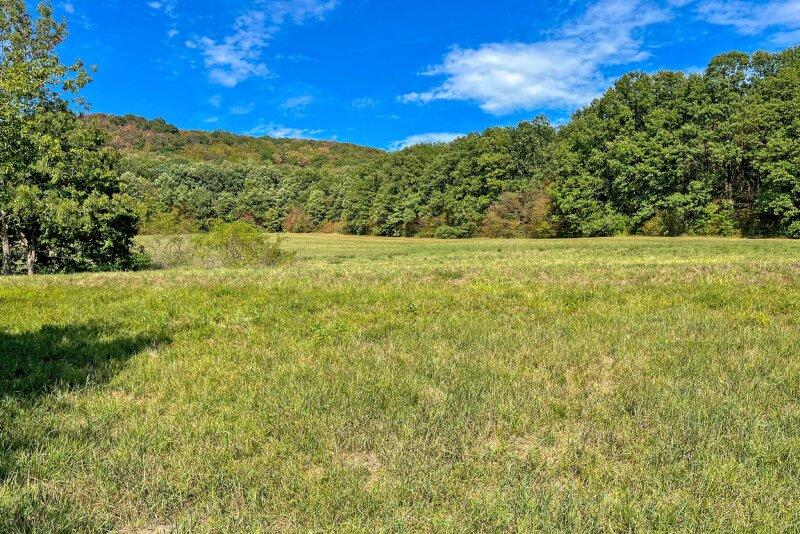 Wiese hinter dem Haus