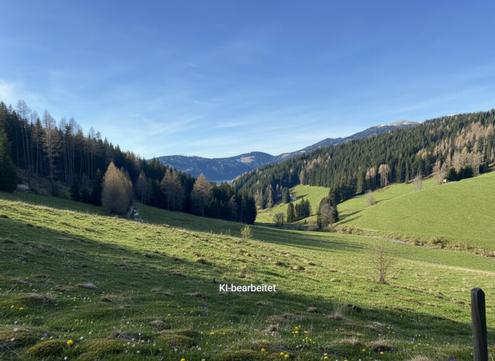 15,6 ha Huttweide I Knittelfeld