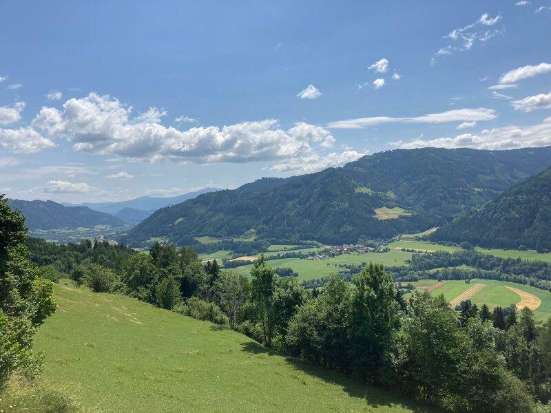 Ansicht Wiese / Weide