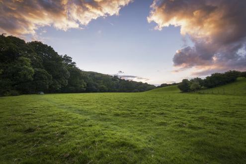 5,8 ha Wiese I 3-4 m�hdige