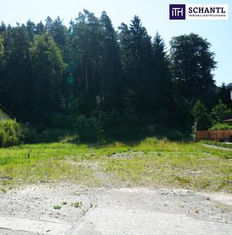 Exklusives Baugrundstück in Grazer Ruhelage: Raum für Ihr Traum-Eigenheim mit grünem Wohnumfeld