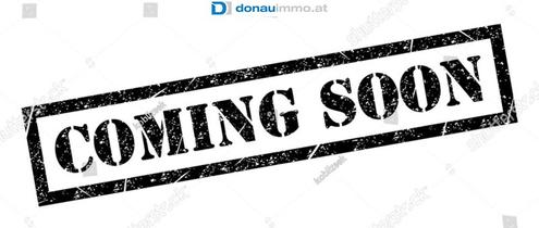 Gro�z�giges 8 Zimmer-ZWEIFAMILIEN-& GENERATIONENHAUS IN KRONSTORF, 220 m� Wohnfl�che, 750 m� Grundst�ck und neuwertiger Sauna!