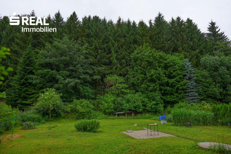 Ausblick