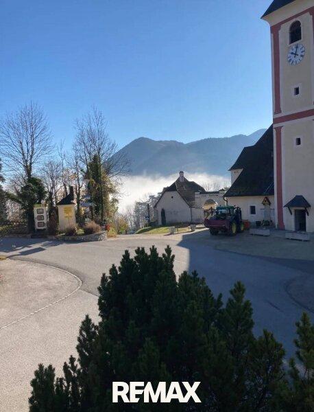 EFH 2641 Schottwein
