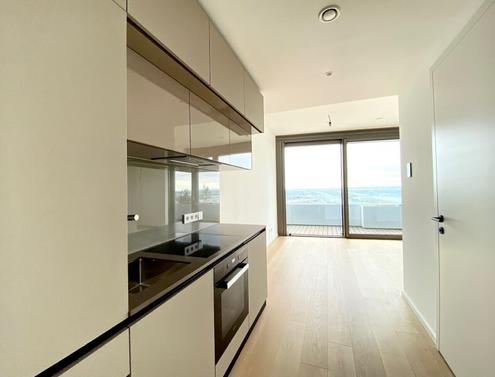 HOCHWERTIGES SINGLEAPARTMENT MIT TRAUMHAFTER FERNSICHT UND GROSSEM BALKON