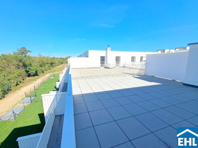 Terrasse 1.2