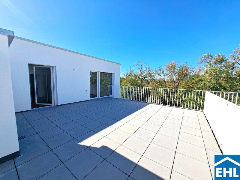 Terrasse 1.1