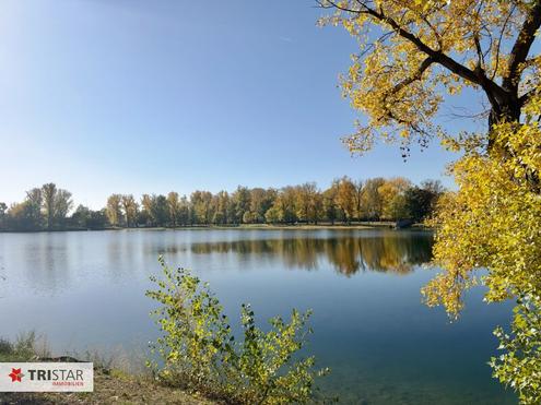 Naturjuwel Alten Donau ++ Eigengrund mit Sommerhaus und Neubaupotenzial ++