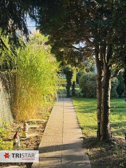 Naturjuwel Alten Donau ++ Eigengrund mit Sommerhaus und Neubaupotenzial ++