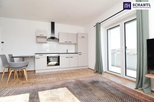Coole voll ausgestattete Ferienwohnung mit traumhaftem Weinbergblick - komplett möbliert & sofort bezugsbereit! - 3D-Rundgang vorhanden!