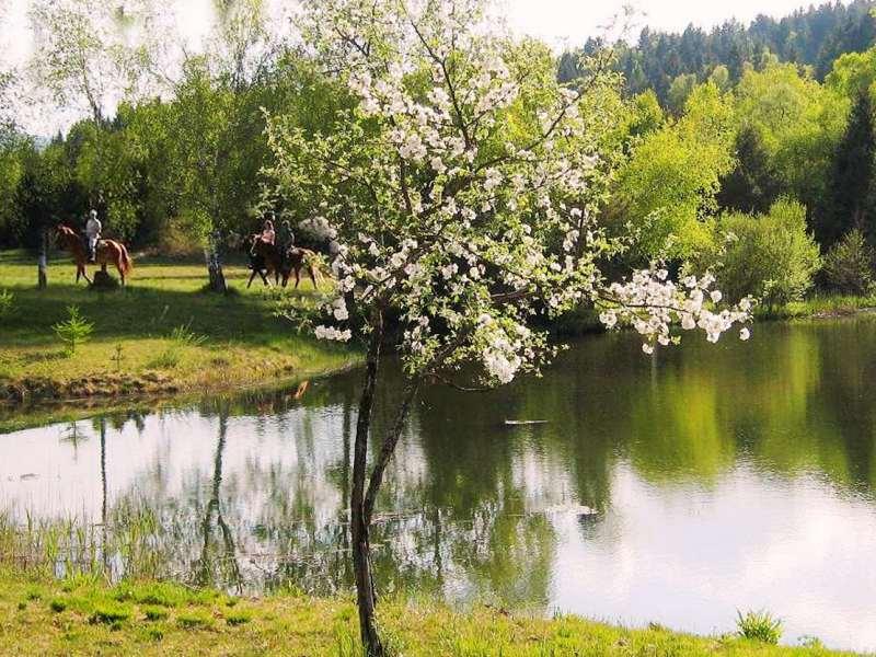 Reiten am See