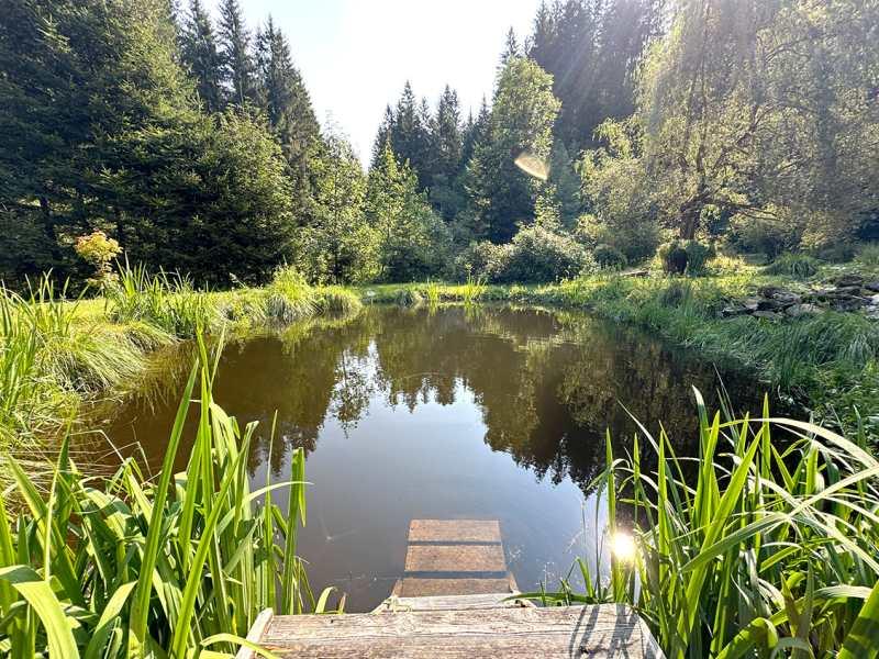 Teich
