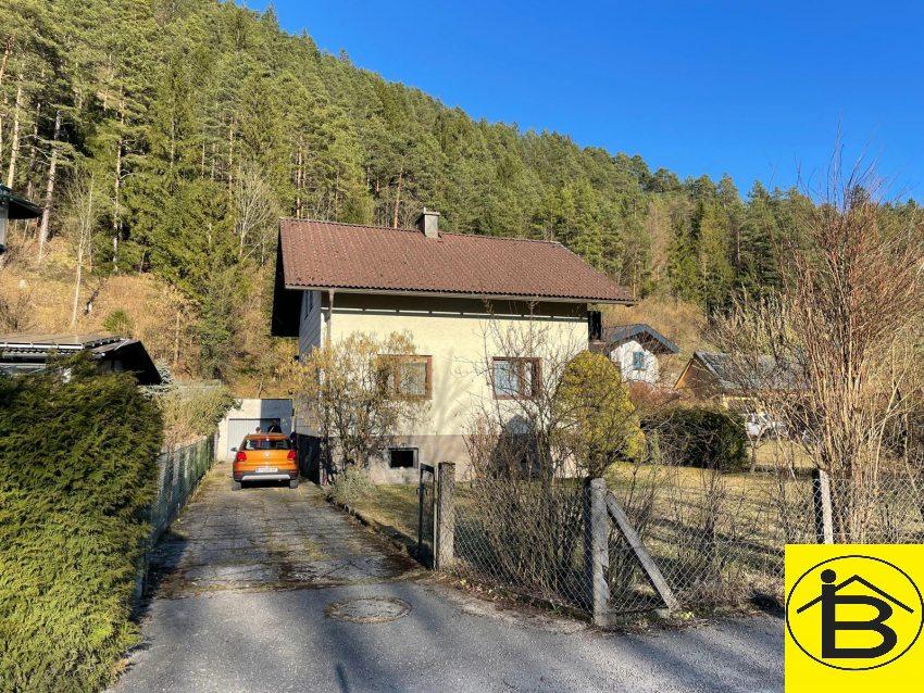Auenansicht