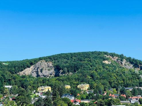 ++ GRN. RUHIG. WEITBLICK. ++ ZWEI Zimmer Gartenwohnung zum Verlieben