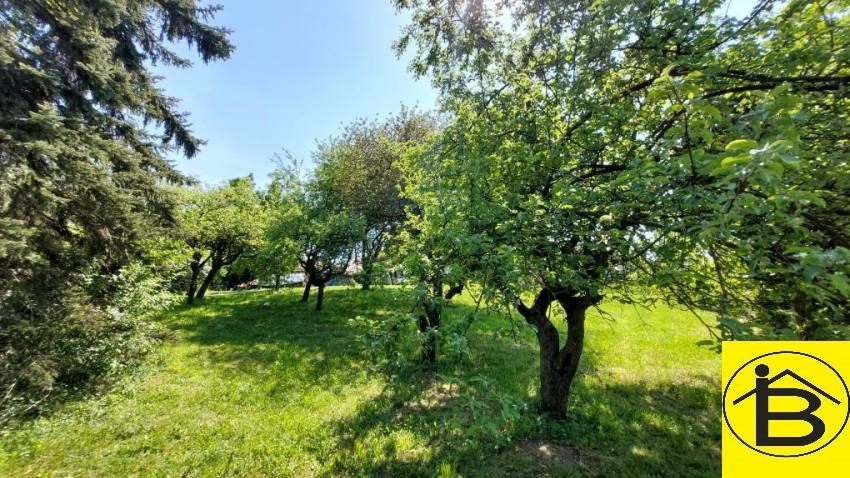 Obstgarten