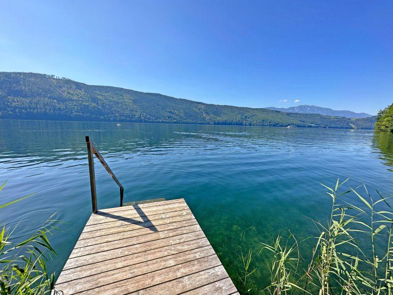 Millst�tter See bear