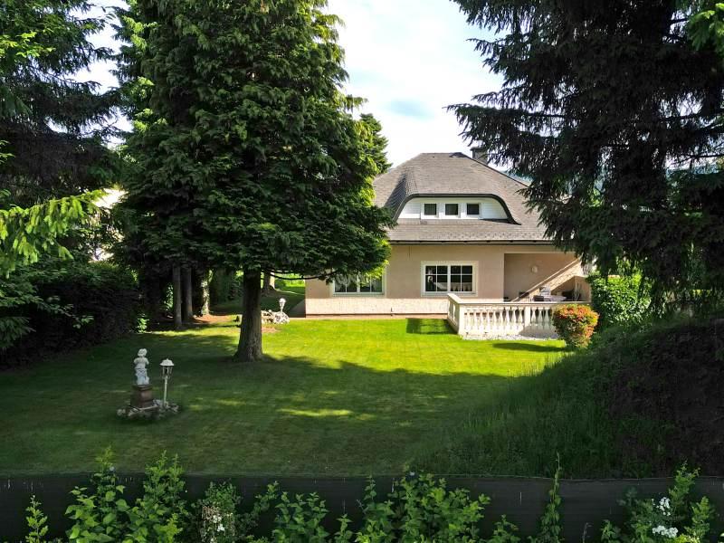 Der alte Baumbestand