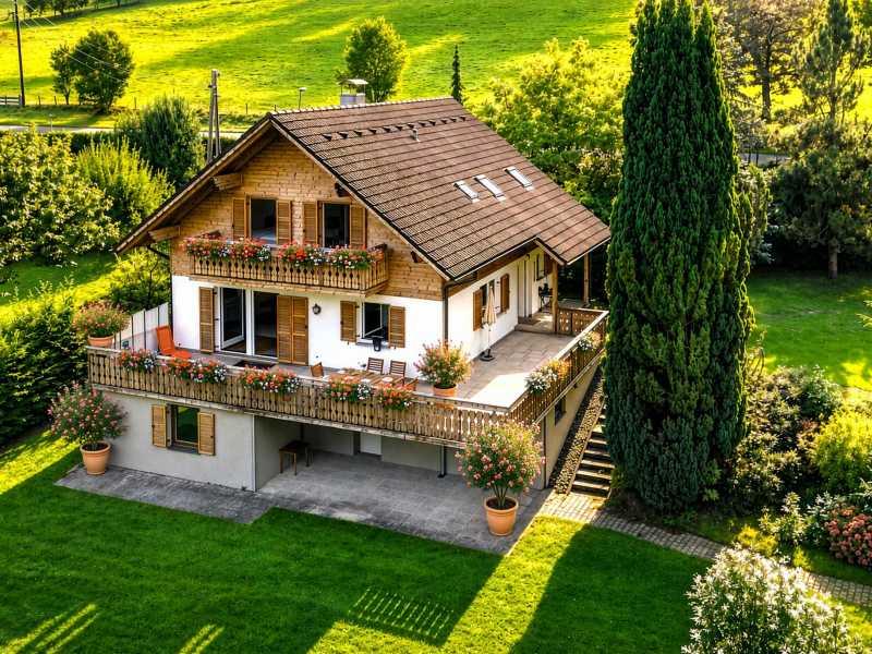 Seehaus-Blumen